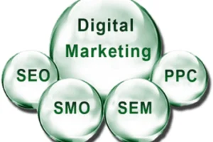 what is seo in digital marketing