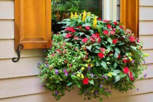 Sunflower And Butterfly Kitchen Decor — Practical Tips and Expert Advice