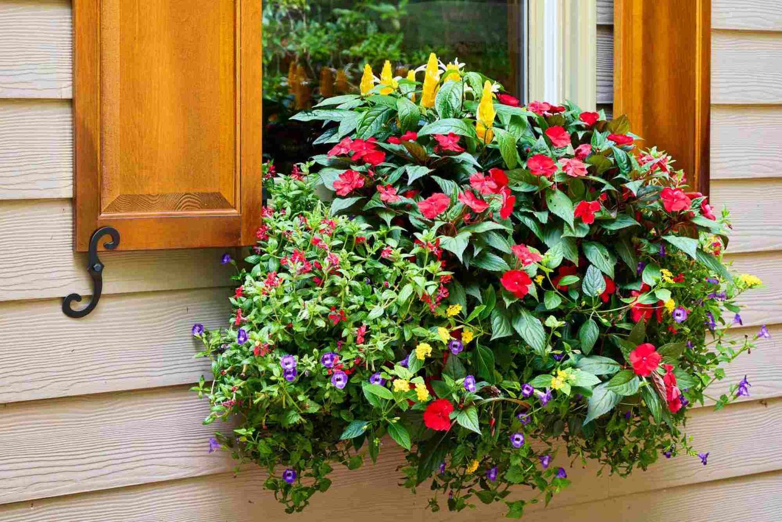 Sunflower And Butterfly Kitchen Decor — Practical Tips and Expert Advice