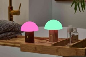 Wa Home Decor Mushroom Lamp — Practical Tips and Expert Advice